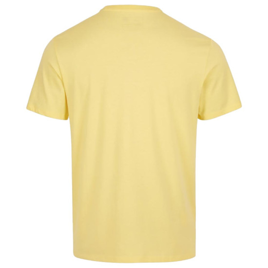 O'neill Ανδρική κοντομάνικη μπλούζα Arrowhead T-Shirt